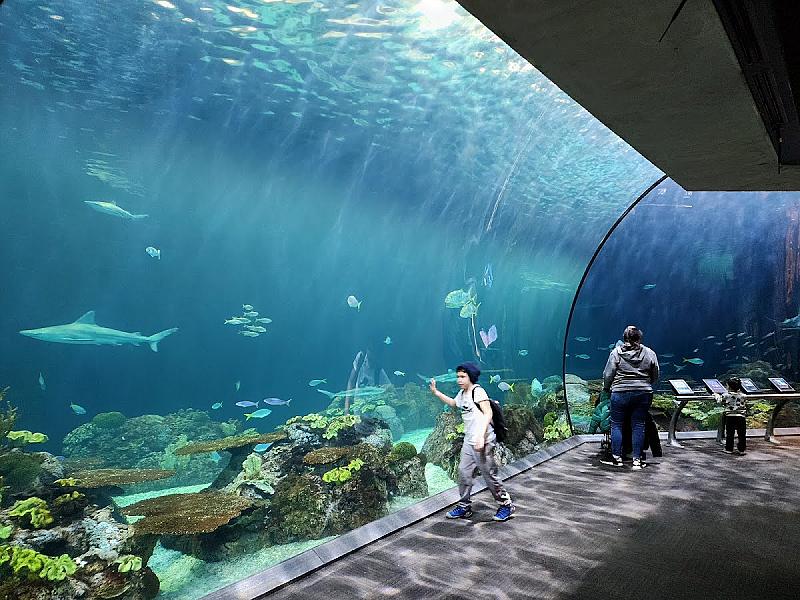 John G Shedd Aquarium