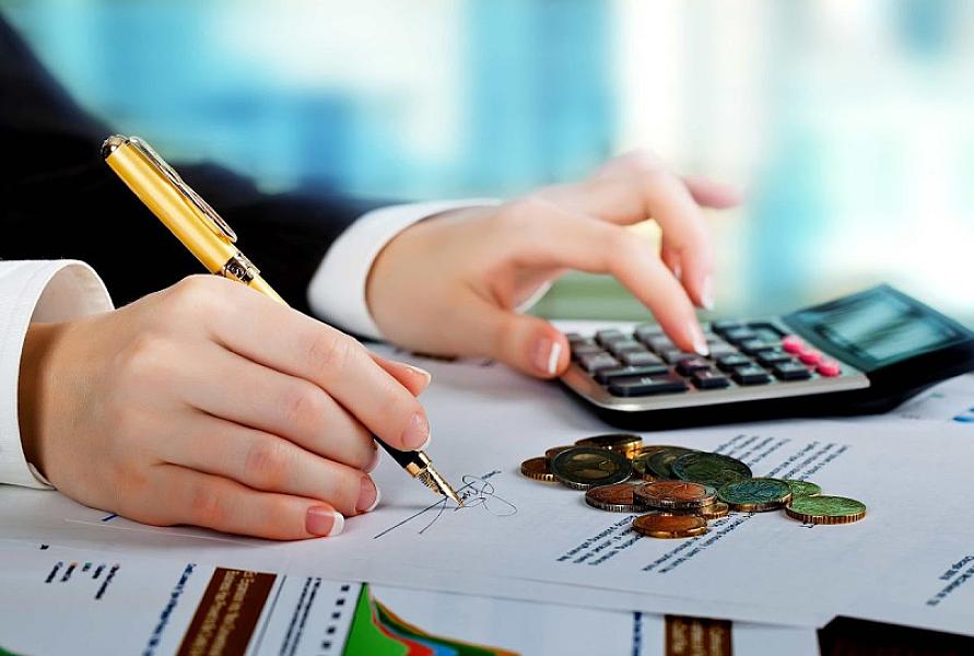 NMP Professional Services