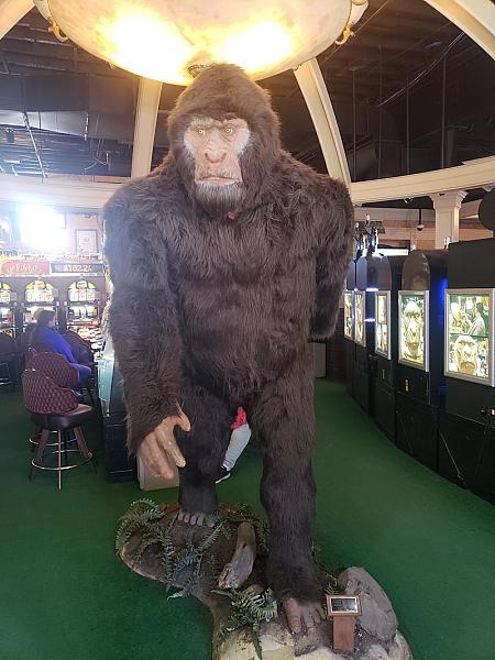 Black Hawk Station Casino