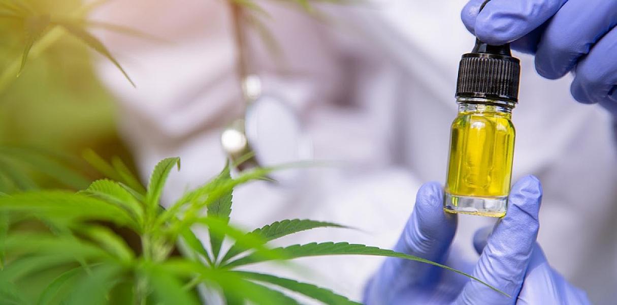 Houston Marijuana Dispensary