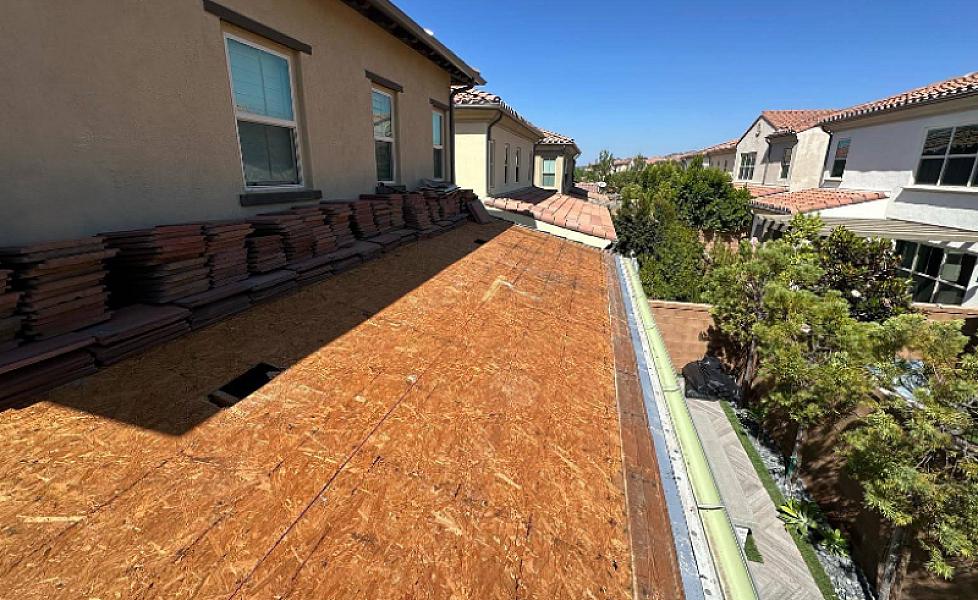 Roof Repair Specialist