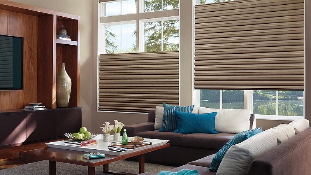Eye for Color Interiors LLC