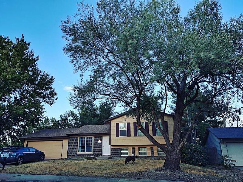 J & J Tree Care