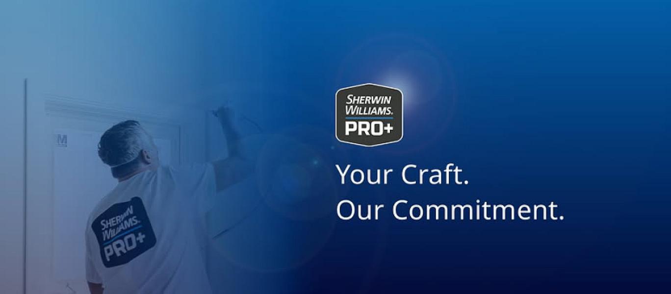 PaintPros
