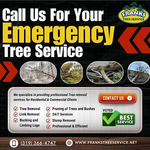Frank's Affordable Tree Services